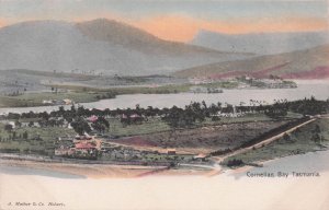 Cornelian Bay Tasmania Africa Antique Rare Aerial Postcard