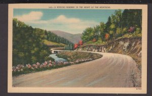 North Carolina - A Winding Roadway in the Heart of the Mountains - LINEN