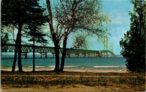 Mackinac Bridge Longest Suspension Bridge Postcard VTG UNP Curtiech Vintage 