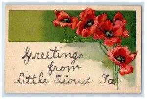 c1910's Greetings From Little Sioux Iowa IA, Flowers Glitter Embossed Postcard 