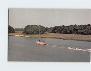 Postcard Skidaway Island State Park, Savannah, Georgia