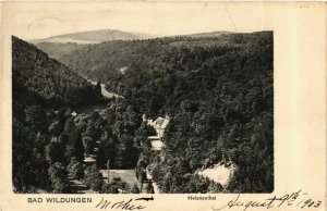 CPA AK Bad Wildungen Helenental GERMANY (899512)