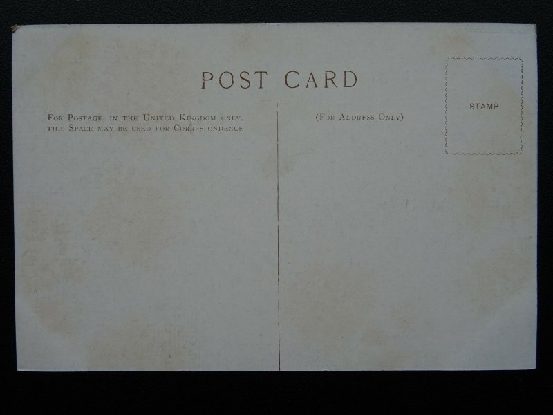 Hampshire New Forest THE HILL WOODS LYNDHURST W.Tyndale c1904 PC