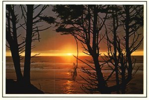 Postcard Washington State Pacific Ocean Sunset Washington Ellis Post Card Co.