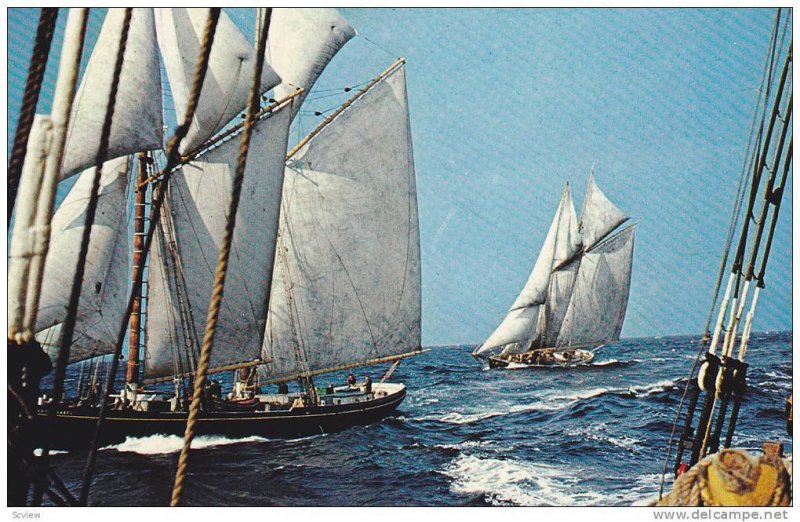 Schooner Race , Nova Scotia , Canada 50-60s