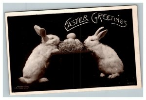 Vintage 1910's RPPC Easter Postcard Two Cute Bunnies Eat at Easter Table Eggs