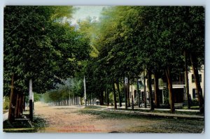 Columbus Wisconsin Postcard St. Looking South Exterior View Road c1910 Vintage
