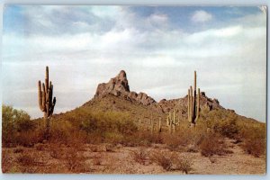 Tucson Arizona Postcard Picacho Peak Exterior Field Cactus c1960 Vintage Antique