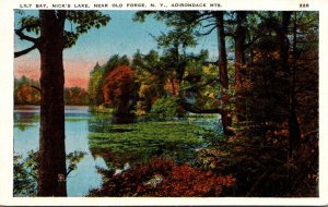 New York Adirondacks Lily Bay Nick's Lake Near Old Forge