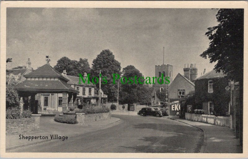 Surrey Postcard - Shepperton Village RS36530