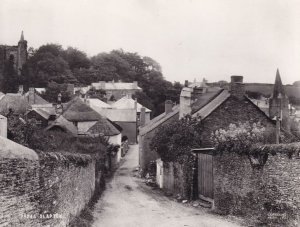 Slapton Devon Village Scene Real Photo Postcard