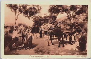 Algeria Street Scene With Camels Vintage Postcard C192
