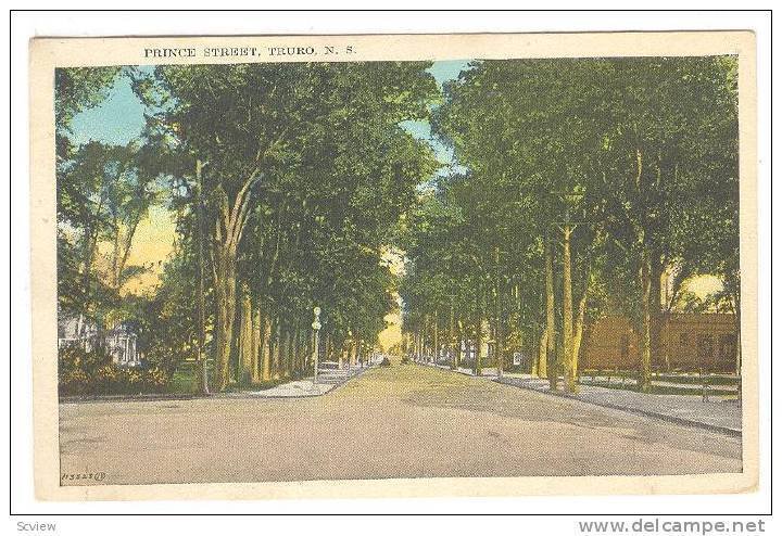 Prince Street, Line-Up Trees, Truro, Nova Scotia, Canada, 1930-1940s