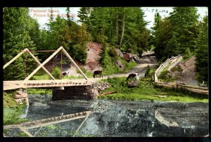 Prince Edward Island Pastoral Scene Cattle Bridge Valentine & Sons pm1906 Und/B