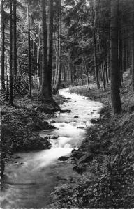 BG28945 seesen a harz forellenstieg  germany CPSM 14x9cm