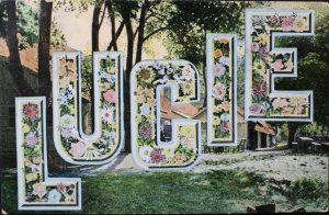 Lucie Name Large Letters with Flowers