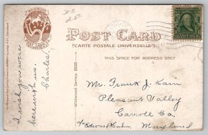 Wildwood NJ Shady Nook Unique Tree 1908 To Pleasant Valley MD Postcard I46