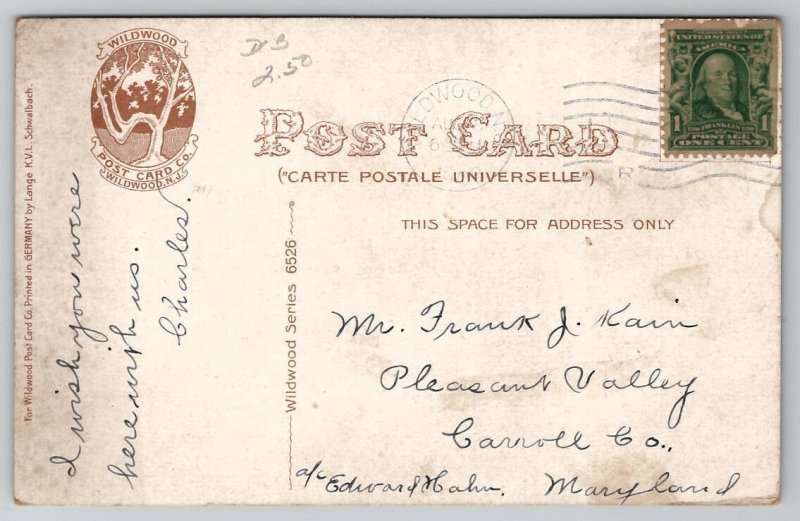 Wildwood NJ Shady Nook Unique Tree 1908 To Pleasant Valley MD Postcard I46