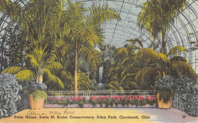 Cincinnati Ohio 1940s Linen Postcard Palm House Irwin M Krohn Conservatory Park 