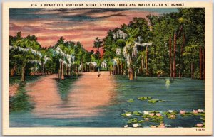 Beautiful Scene Cypress Trees & Water Lilies At Sunset Wilmington NC Postcard