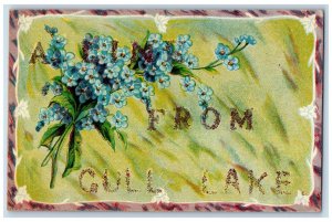 Saskatchewan Canada Postcard A Lin from Gull Lake c1910 Embossed Antique