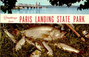 Kentucky Greetings From Paris Landing State Park Showing Days Catch & L & N R...