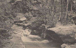 Foot Of The Cascades New South Wales Antique Australia Postcard