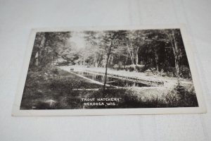 Trout Hatchery Nekoosa Wisconsin Postcard