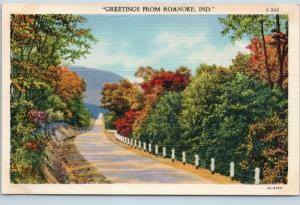 Postcard IN Roanoke Scenic Greetings From Roanoke Indiana Vintage Linen #2 C01