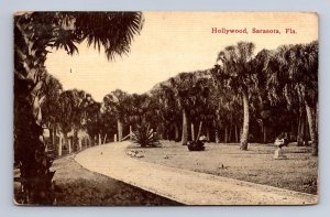HOLLYWOOD SARASOTA FLORIDA POSTCARD 1913