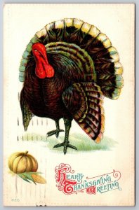 Giant Turkey Hearty Thanksgiving Greeting Embossed 1915 DB Postcard K3