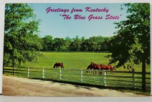 Greetings from Kentucky The Blue Grass State Postcard D6