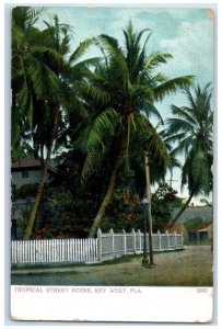 1910 Tropical Street Scene Palm Trees Key West Florida Vintage Unposted Postcard