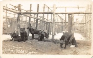 J9/ Carcross Canada RPPC Postcard c1910 Silver Fox Farm Cages  244