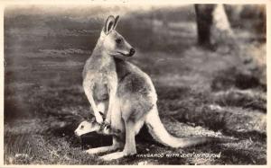 Kangaroo With Joey In Pouch Cute Real Photo Antique Postcard K23968