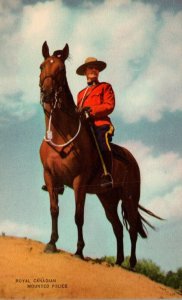 Horses Royal Canadian Mounted Police