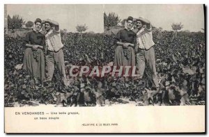 Old Postcard Wine Harvest A beautiful bunch a beautiful couple