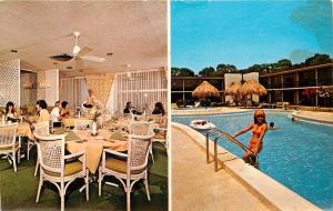 Ramada Inn New Port Richey Florida Fl bikini girl in pool Postcard