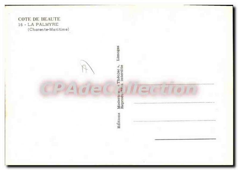 Modern Postcard The Palmyra