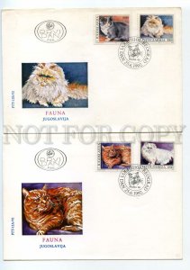 490735 1992 year set of FDC Yugoslavia fauna domestic cats