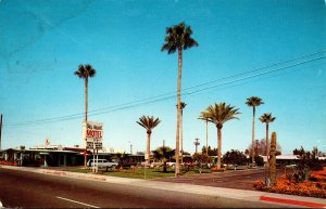 Arizona Mesa The Tall Palms Motel 1967