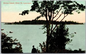 Milton Island River St Lawrence Canada Scenic Island View Postcard