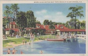 Florida Silver Spring Where Glass Bottom Boat Trips Begin At Silver Springs