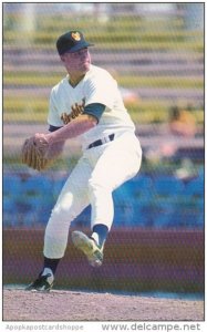 Baseball Phoenix Firebirds Mike Aldrete