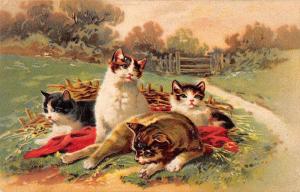 Domestic kittens on blanket in field by PFB lightly embossed antique pc Y14162