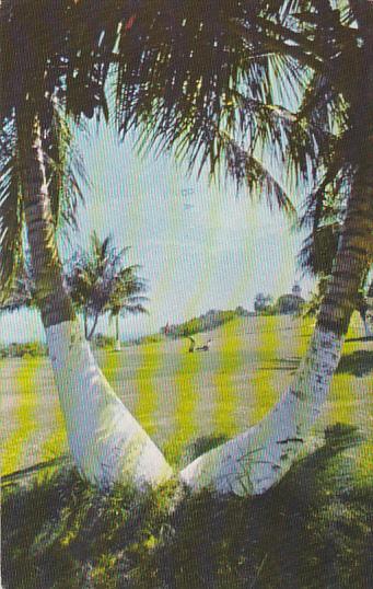 Puerto Rico Aguadilla Twin Palms At Punta Borinquen Golf Course 8th Hole 1979
