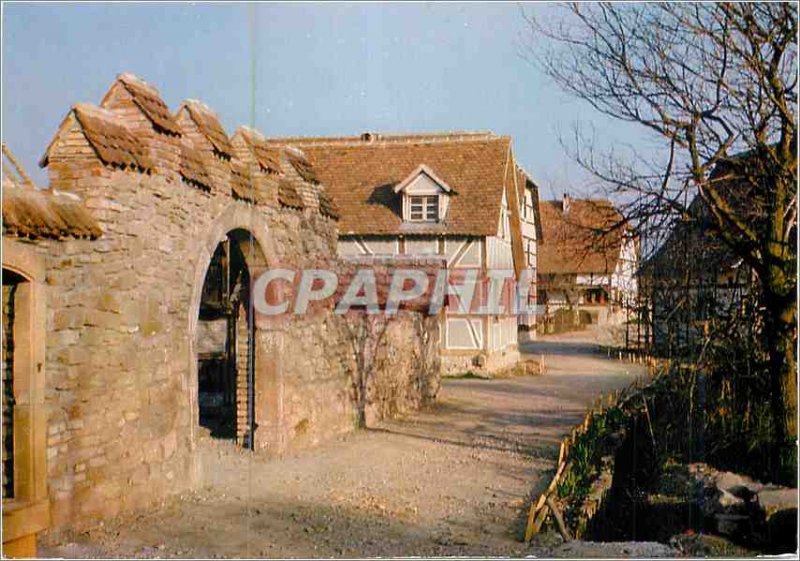 Postcard Modern Ungersheim (Haut Rhin) ?conomus?e Haute Alsace Alignment Spro...