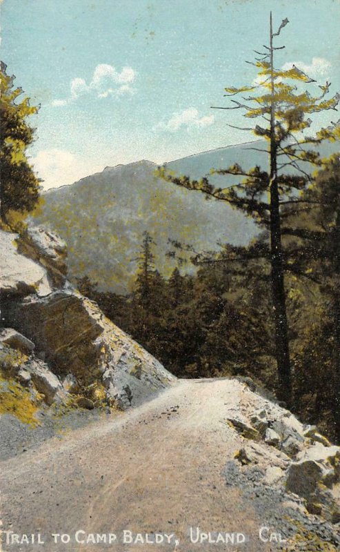 Trail To Camp Baldy, Upland, CA San Bernardino County 1913 Vintage Postcard