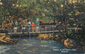 Bermuda fishing at the Devil`s Hole Linen Postcard