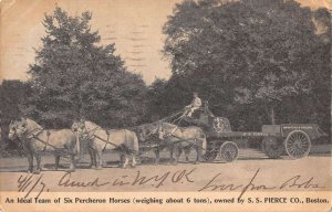 Boston Massachusetts SS Pierce Co Six Percheron Horses Vintage Postcard AA28142